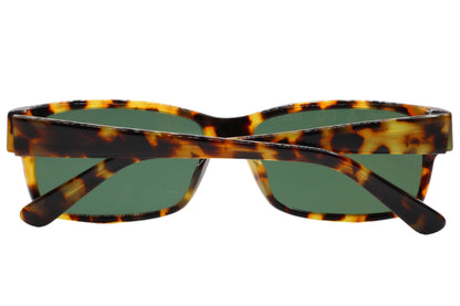 S&C Adriano Black Gradient Acetate Fashion Designer Italy Sunglasses