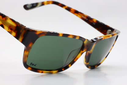 S&C Adriano sunglasses for sale ABC Optical with tortoise shell frames and green lenses